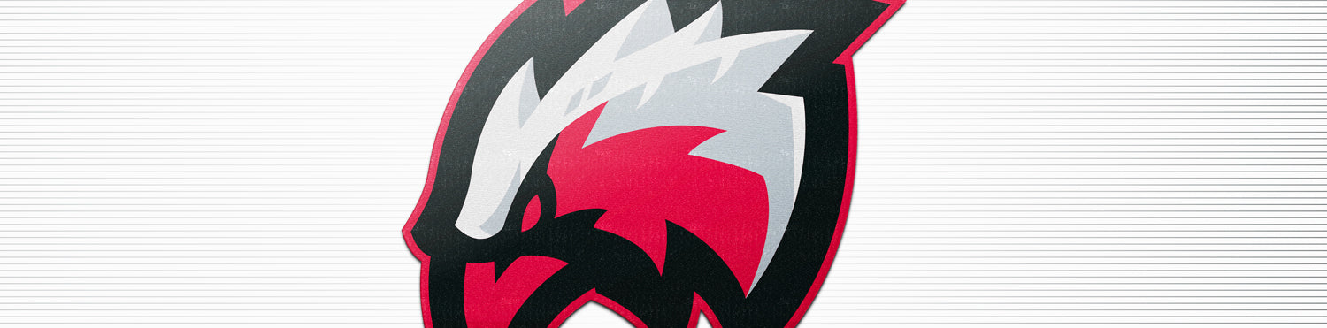 Liberty esports – Guardian Proline