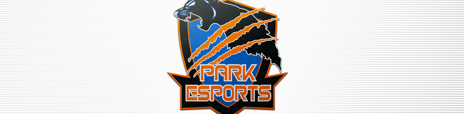 Park esports – Guardian Proline
