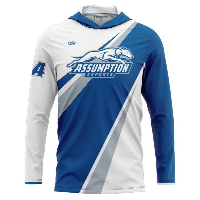 Assumption esports LS Elysium Hoodie (Premium)