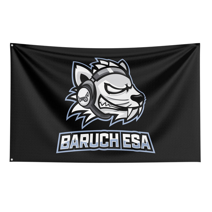 Baruch esports Flag (56