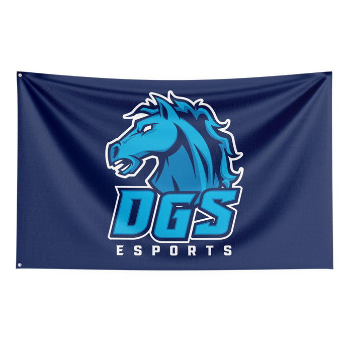 DGS esports Flag (56