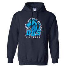 Load image into Gallery viewer, DGS esports Hoodie (Cotton)
