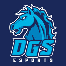 Load image into Gallery viewer, DGS esports Hoodie (Cotton)
