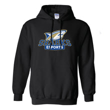 Load image into Gallery viewer, Divine Savior esports Hoodie (Cotton)
