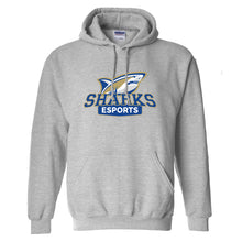 Load image into Gallery viewer, Divine Savior esports Hoodie (Cotton)
