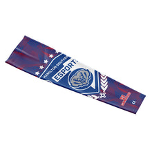 Load image into Gallery viewer, Hamilton Southeastern Esports Arm Sleeves (Premium) 2 Pack
