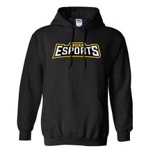 Load image into Gallery viewer, Brickie esports Hoodie (Cotton)
