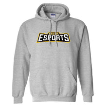 Load image into Gallery viewer, Brickie esports Hoodie (Cotton)
