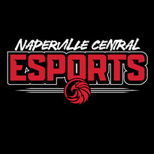 Load image into Gallery viewer, Naperville Central esports Hoodie (Cotton)
