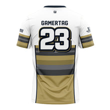 Load image into Gallery viewer, SD308 esports White Guardian Jersey (Premium)
