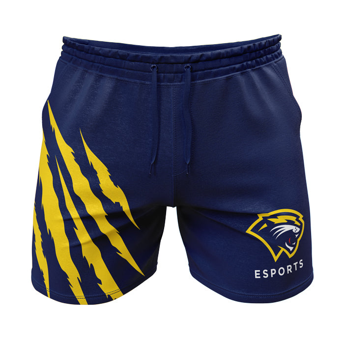 Spring Arbor esports Carbon 9