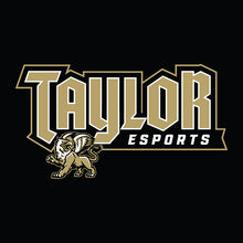 Load image into Gallery viewer, Taylor esports Hoodie (Cotton)
