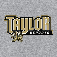 Load image into Gallery viewer, Taylor esports Hoodie (Cotton)
