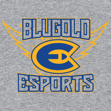 Load image into Gallery viewer, UW Eau Claire esports TShirt (Cotton)
