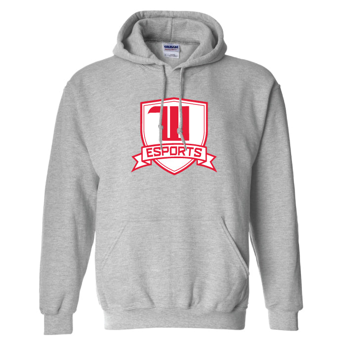 Wittenberg esports Hoodie (Cotton)