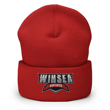 Load image into Gallery viewer, WIHSEA Cuffed Beanie
