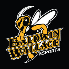Load image into Gallery viewer, BW esports Polo
