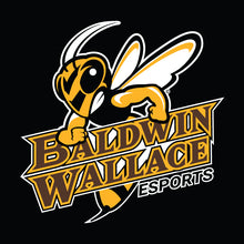 Load image into Gallery viewer, Baldwin Wallace esports Hoodie (Cotton)
