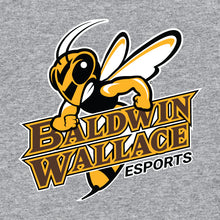 Load image into Gallery viewer, Baldwin Wallace esports Hoodie (Cotton)
