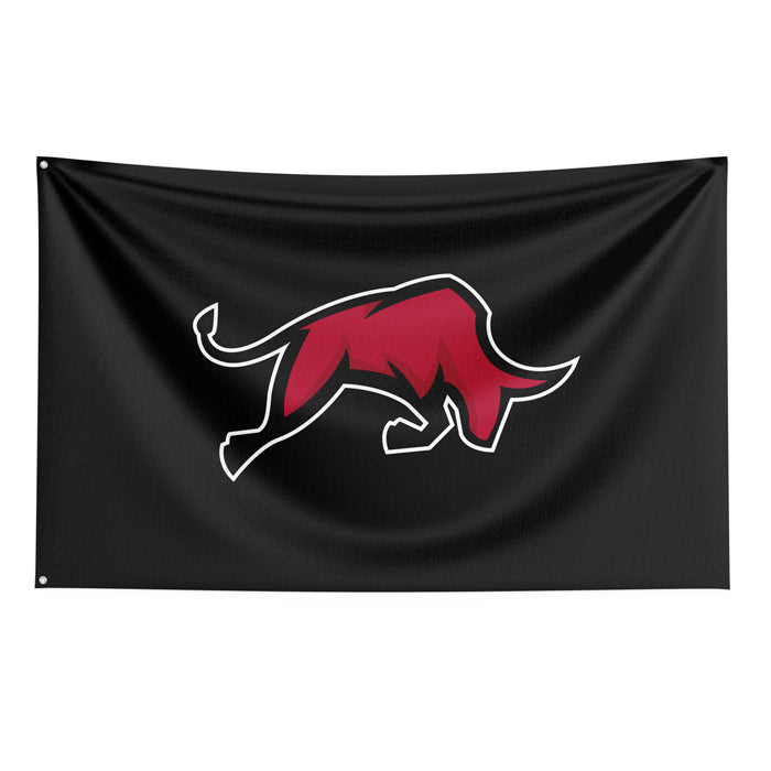 Bulls MLE Flag (56