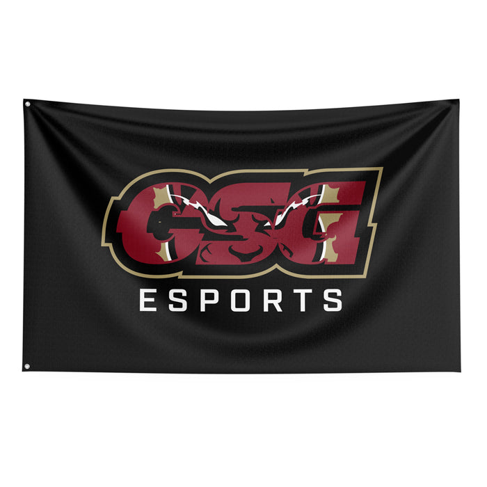 CSG esports Flag (54