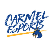 Load image into Gallery viewer, Carmel esports LS TShirt
