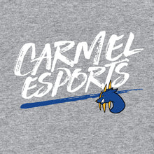 Load image into Gallery viewer, Carmel esports Hoodie
