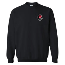 Load image into Gallery viewer, C Troop 4-6 Air Cav Cotton Sweatshirt
