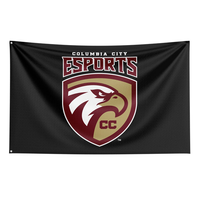 CC esports Flag – Guardian Proline