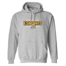 Load image into Gallery viewer, Grass Lake esports Hoodie
