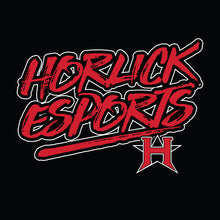 Load image into Gallery viewer, Horlick esports Sweater
