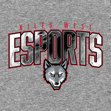 Load image into Gallery viewer, Niles West esports Hoodie
