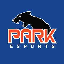 Load image into Gallery viewer, Park esports Snapback Hat
