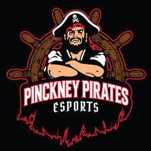 Load image into Gallery viewer, Pinckney esports Hoodie
