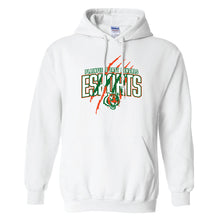 Load image into Gallery viewer, Plainfield East esports Hoodie
