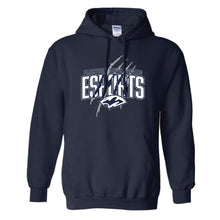 Load image into Gallery viewer, Plainfield South esports Hoodie (Cotton)
