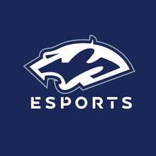 Load image into Gallery viewer, Plainfield South esports Snapback Hat
