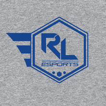 Load image into Gallery viewer, Random Lake esports Hoodie
