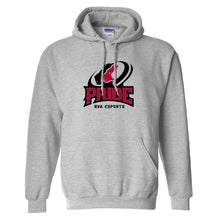 Load image into Gallery viewer, RVA esports Hoodie
