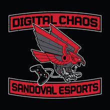 Load image into Gallery viewer, Sandoval esports Banner Hoodie
