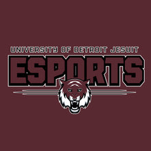 Load image into Gallery viewer, UDJ esports LS T-Shirt

