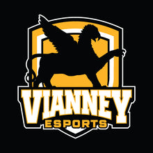 Load image into Gallery viewer, Vianney esports Dad Hat
