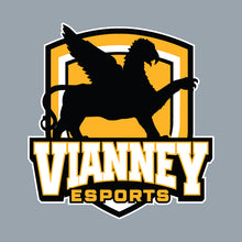 Load image into Gallery viewer, Vianney esports Men&#39;s Polo
