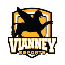 Load image into Gallery viewer, Vianney esports Men&#39;s Polo
