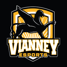 Load image into Gallery viewer, Vianney esports Hoodie (Cotton)
