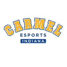 Load image into Gallery viewer, Carmel esports Vintage Sweater
