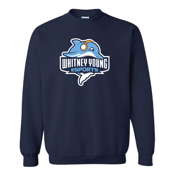 Whitney Young esports Sweater
