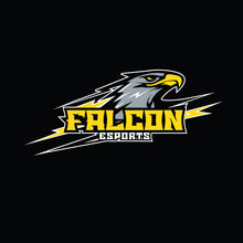 Load image into Gallery viewer, Falcon esports Hoodie (Cotton)
