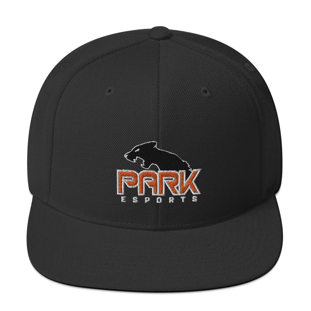 Park esports Snapback Hat