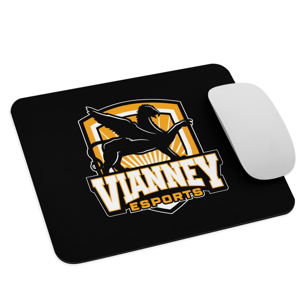 Vianney esports Mouse Pad